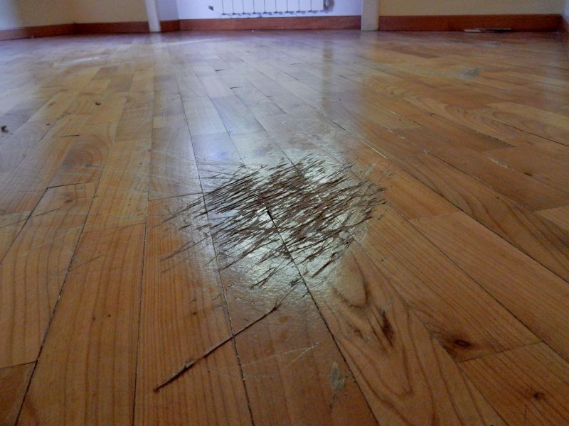 Maple Floor Staining in Olathe, KS